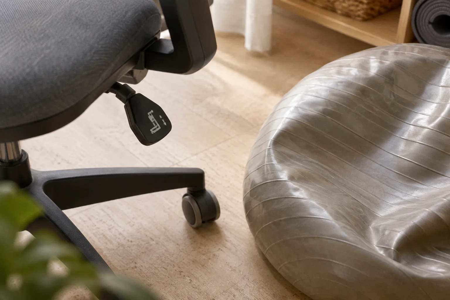 Sitzball oder ergonomischer Bürostuhl: Was entlastet den Rücken?